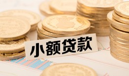 北京24哪里有小额贷款-北京24身份证贷款平台-北京24民间短借